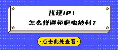代理IP在避免爬蟲(chóng)被封中的應(yīng)用與廣告設(shè)計(jì)規(guī)范