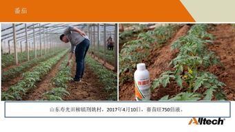 奧特奇帶您解碼土壤健康奧秘 土壤修復的全方位指南